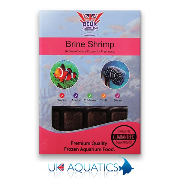 Frozen Brine Shrimp Blister Pack Frozen Brine Shrimp Blister Pack