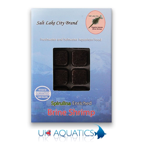 Frozen Brine Shrimp Spirulina Blister Pack Frozen Brine Shrimp Spirulina Blister Pack