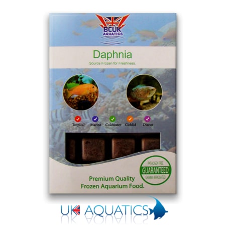 Frozen Daphnia Blister Pack Frozen Daphnia Blister Pack