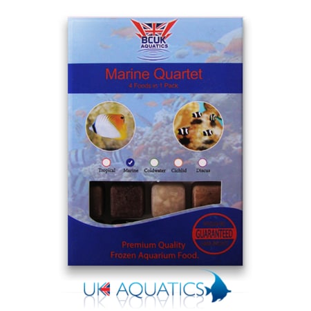 Frozen Marine Quartet Blister Pack Frozen Marine Quartet Blister Pack