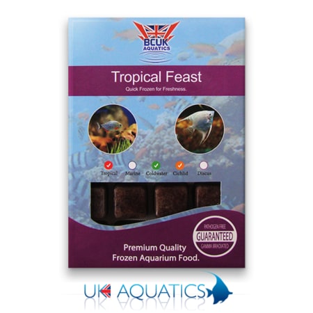 Frozen Tropical Feast Blister Pack Frozen Tropical Feast Blister Pack