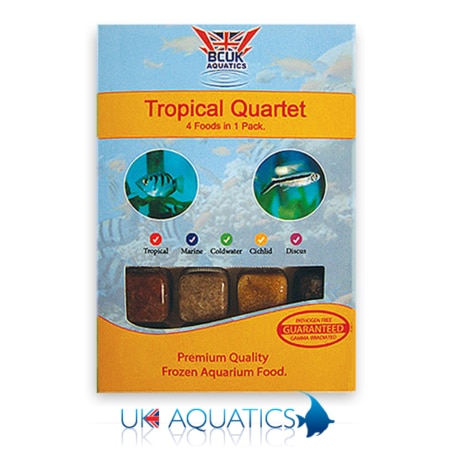 Frozen Tropical Quartet Blister Pack Frozen Tropical Quartet Blister Pack