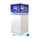 Red Sea Reefer 200 G2+ in White Red Sea Reefer 200 G2+ in White