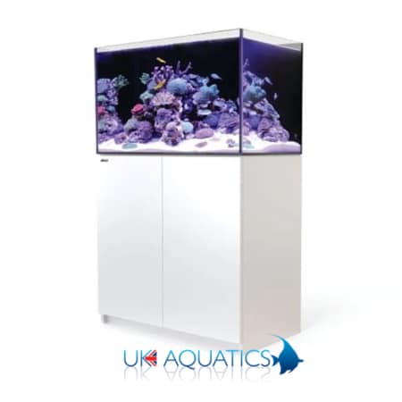 Red Sea Reefer 250 G2+ in White Red Sea Reefer 250 G2+ in White