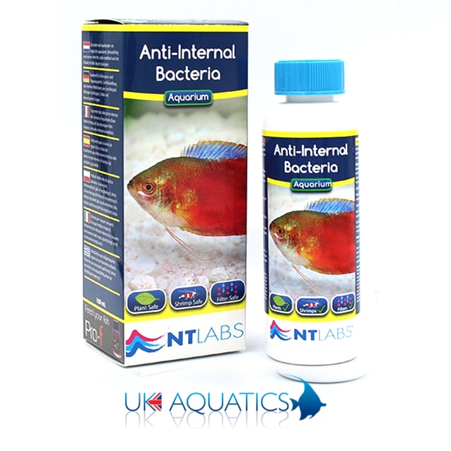 NT Labs Anti-Internal Bacteria 100ml NT Labs Anti-Internal Bacteria 100ml - Image 2