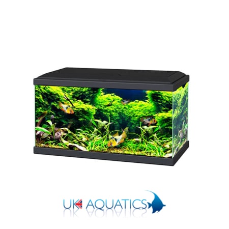 Ciano Aquarium 60 LED - Black or White Ciano Aquarium 60 LED - Black or White