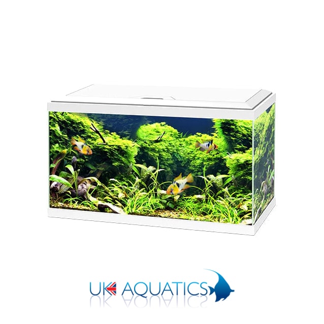 Ciano Aquarium 60 LED - Black or White Ciano Aquarium 60 LED - Black or White - Image 2
