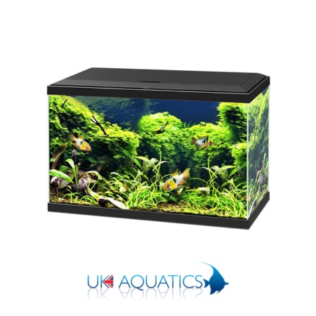 Ciano Aqua 65 LED - Black or White Ciano Aqua 65 LED