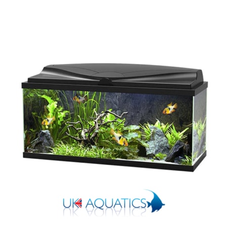 Ciano Aqua 85 LED - Black or White Ciano Aqua 85 LED - Black or White