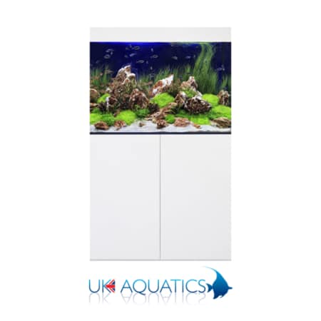 D-D Aqua-Pro Freshwater 900 in Ultra Gloss White