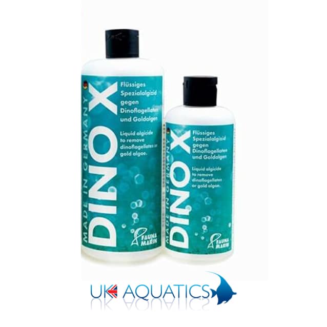 Fauna Marin Dino X Fauna Marin Dino X