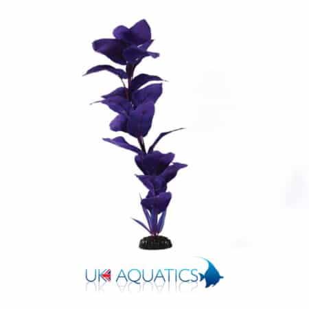Hugo Kashimi Zen Garden Corymbosa Blue 30cm Hugo Kashimi Zen Garden Corymbosa Blue 30cm
