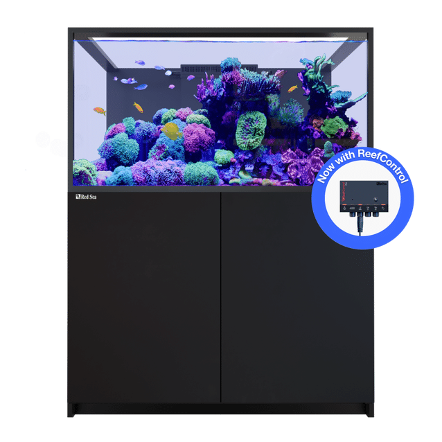 Red Sea REEFER-S 550 G3+ Aquarium & Cabinet Red Sea REEFER-S 550 G3+ Aquarium & Cabinet